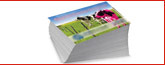South Jersey commercial printing services, custom printing companies banner2d